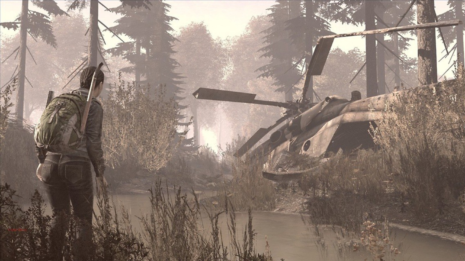 DayZ